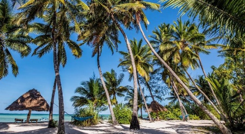 Pongwe Beach Hotel image 14