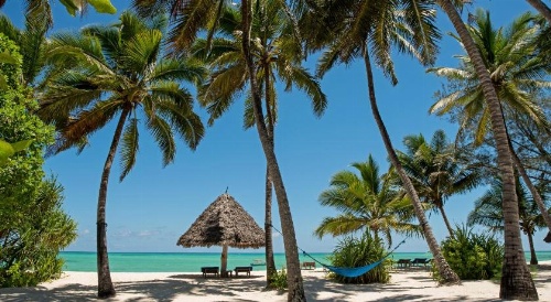 Pongwe Beach Hotel image 15