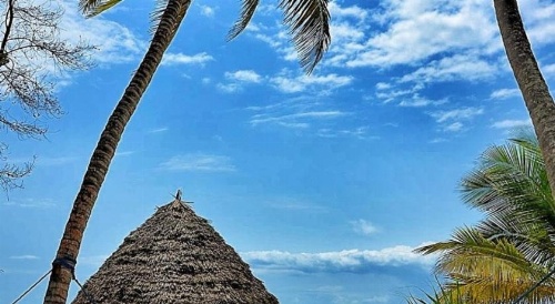 Pongwe Beach Hotel image 18