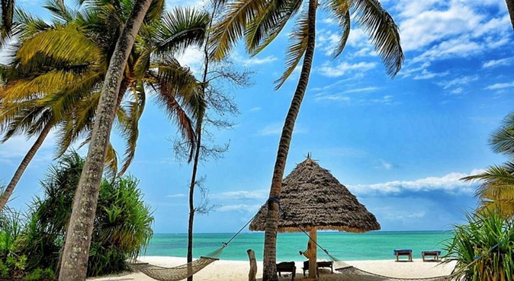 Pongwe Beach Hotel Image 21