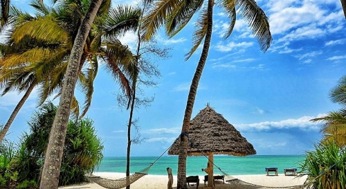 Pongwe Beach Hotel image 21