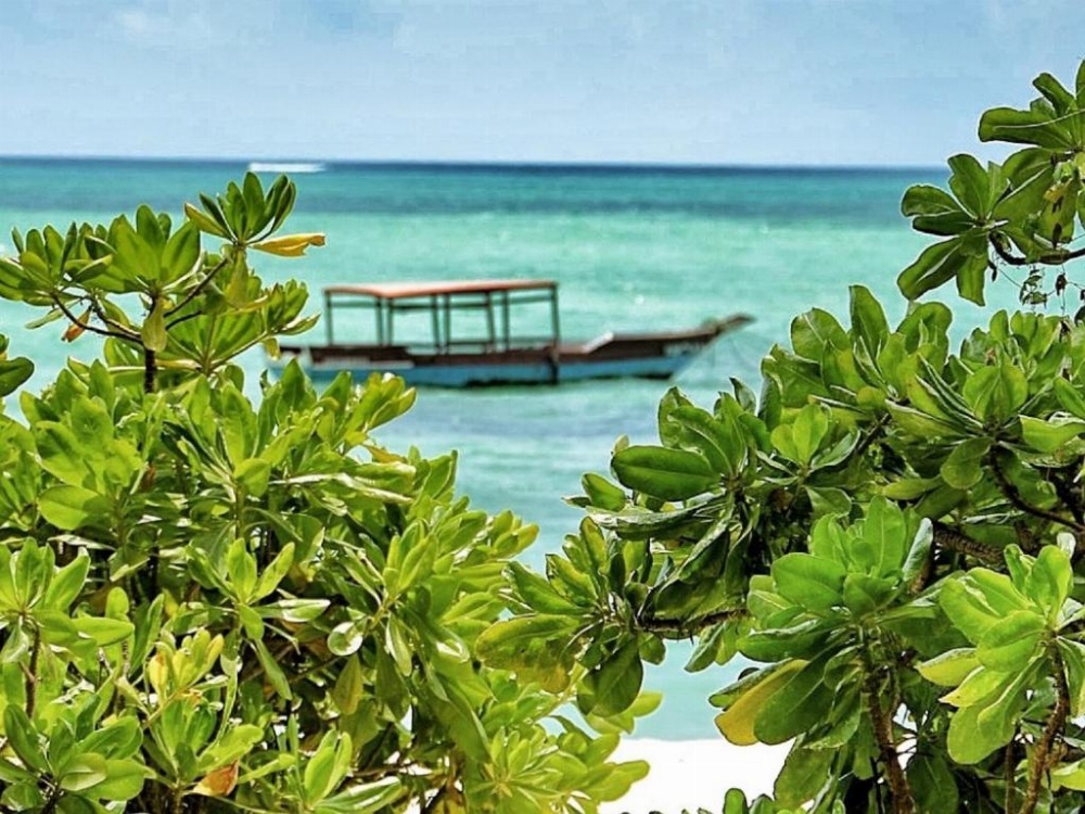 Pongwe Beach Hotel Image 23