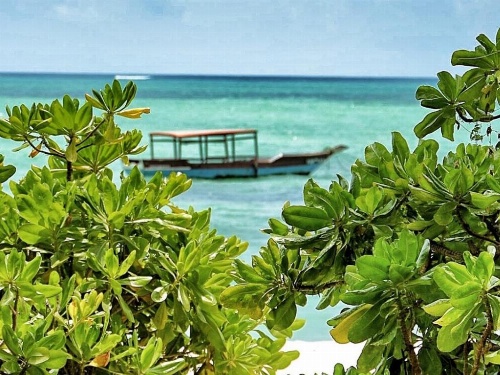 Pongwe Beach Hotel image 23