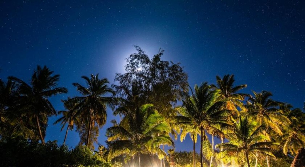 Pongwe Beach Hotel Image 30