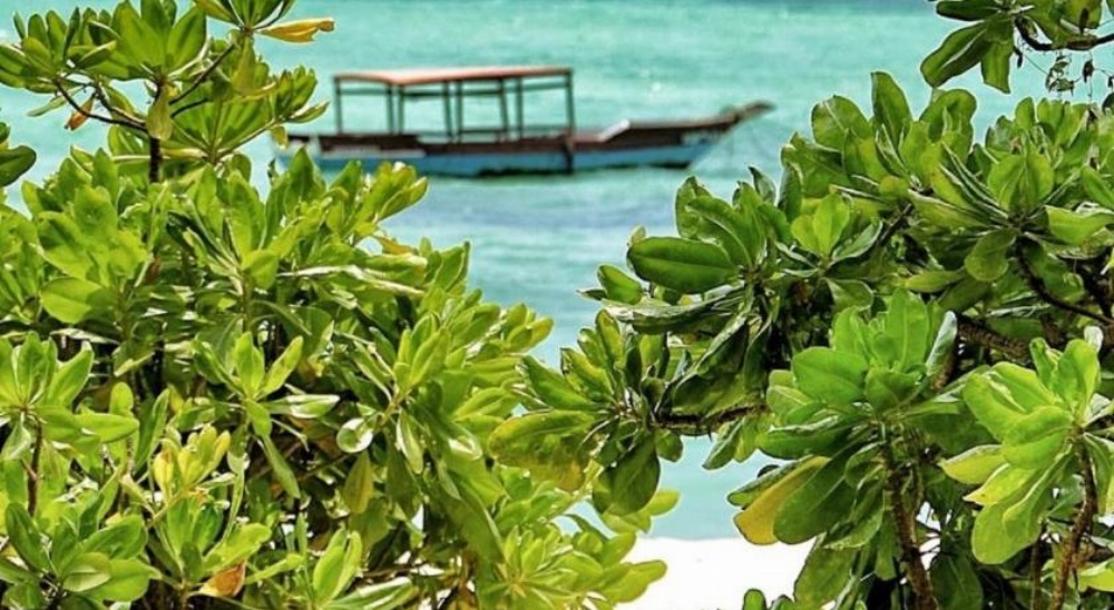 Pongwe Beach Hotel Image 36