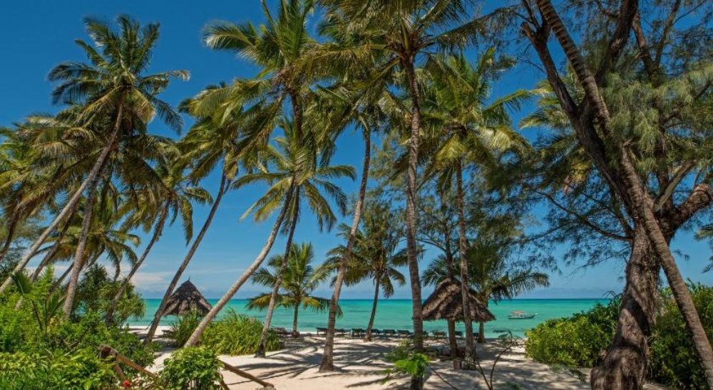Pongwe Beach Hotel Image 41