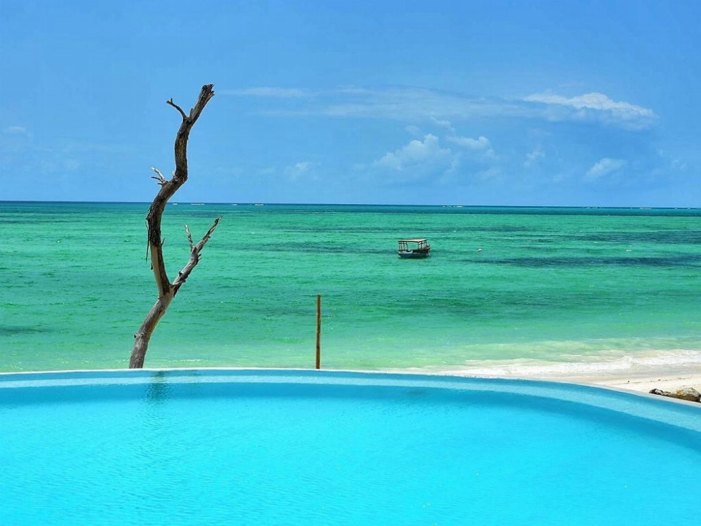 Pongwe Beach Hotel Image 47