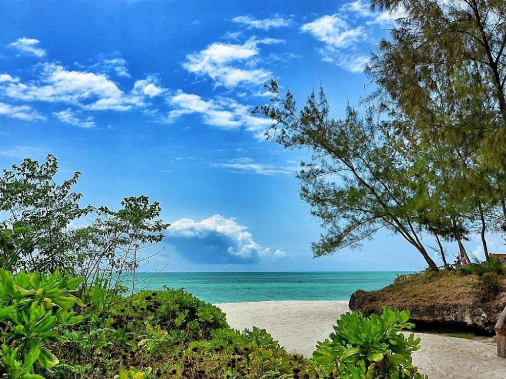 Pongwe Beach Hotel